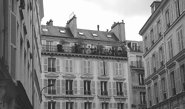 francouzská okna
